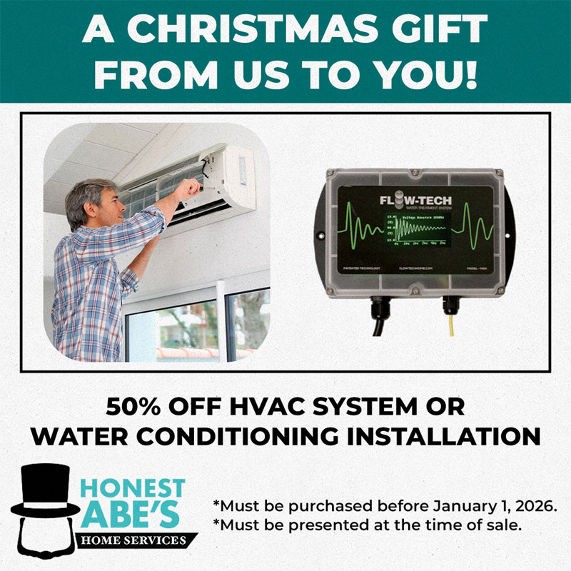 Black Friday Special